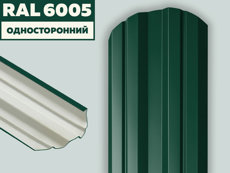 6005